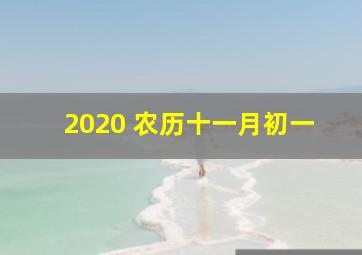 2020 农历十一月初一